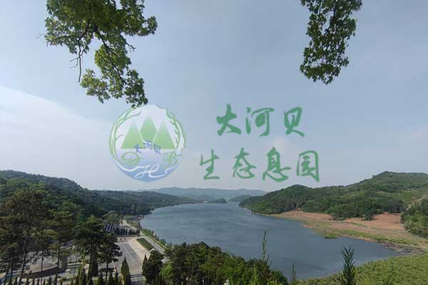 沈陽墓地到期后續費：10%是一年的費用嗎？